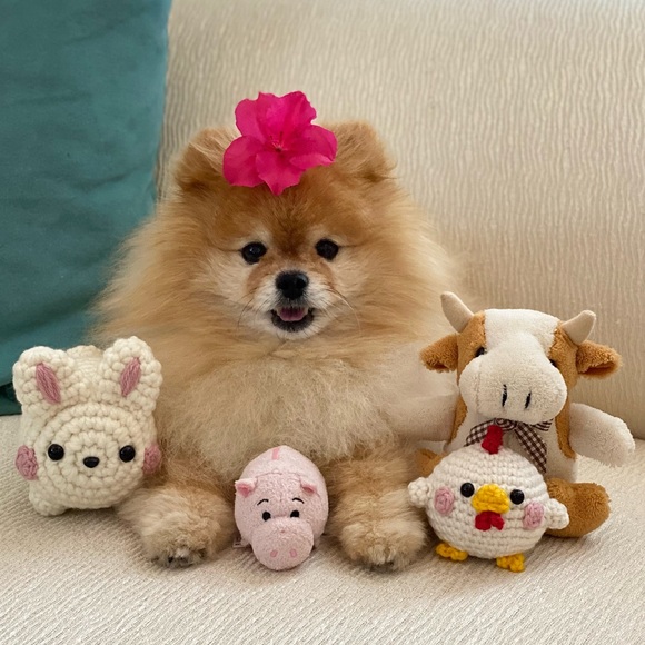 Meet your Posher, Keilani - Picture 11 of 13